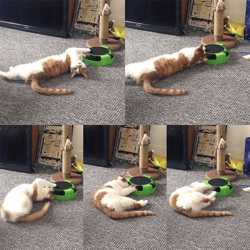 Keep Your Cat Entertained for Hours with this Interactive Turntable & Scratch Board Toy!