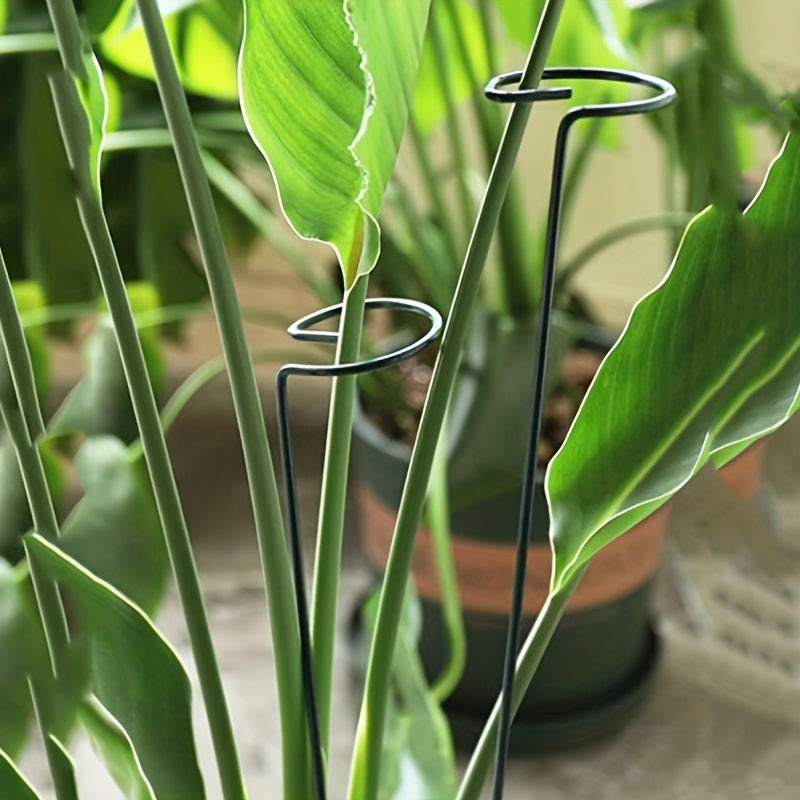2pcs, Lake Blue Iron Plant Support Poles - Sturdy Stakes for Flower Gardens, Adjustable Ring Hoops, Plant Stick Supports for Healthy Growth - Durable, Rust-Resistant, Easy to Install