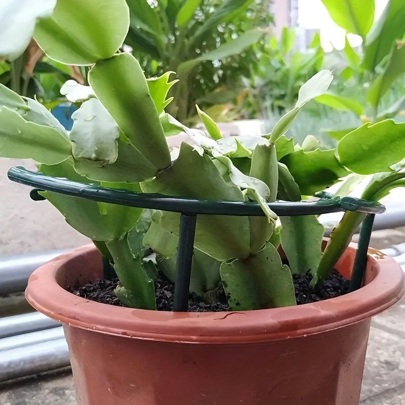 [Popular Choice] 4pcs 9.84in-Plastic Plant Support Pile Frame Greenhouse Arrangement Semicircle Fixed Rod Indoor Flower Plant Vine Climbing Bracket
