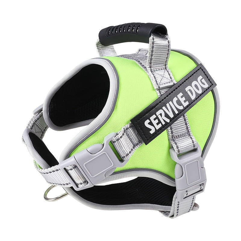 Pet Leash, Pet Harness, Dog Leash, Dog Chain, Dog Lead