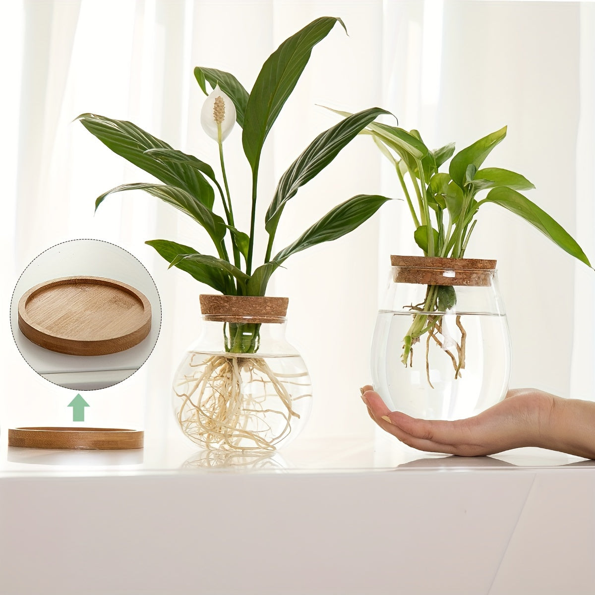 Sustainable Hydroponic Glass Vase with Wooden Stopper - Perfect for Office, Living Room Decor, and Well-being