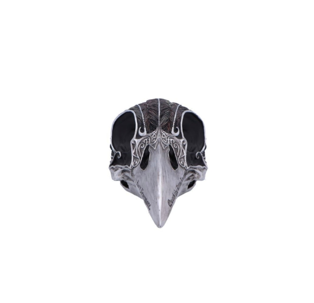 Quoth The Raven 20.2cm