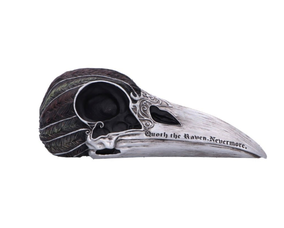 Quoth The Raven 20.2cm