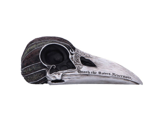Quoth The Raven 20.2cm