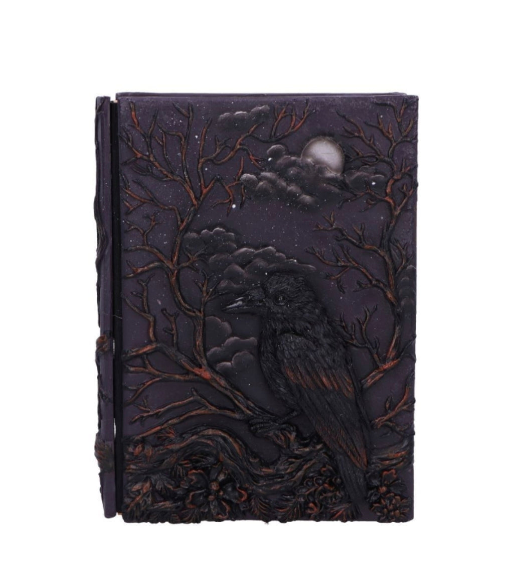 Raven's Grimoire Journal 19cm
